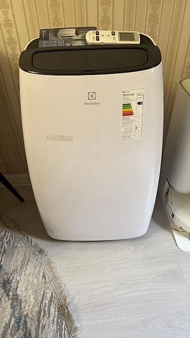 Портативный кондиционер Electrolux с пультом ДУ - Напольная мобильная at lalafo.kg Портативный кондиционер Electrolux с пультом ДУ - Напольная мобильная