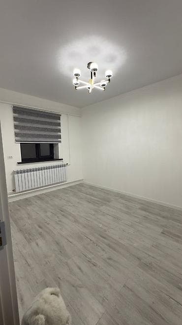 1С иштеп чыгуу: Студия, Жарым -жартылай эмереги бар lalafo.kg да — 5 1С иштеп чыгуу: Студия, Жарым -жартылай эмереги бар — 5