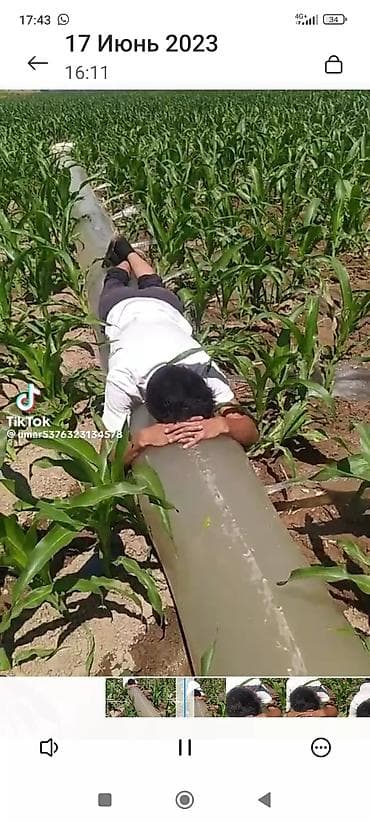 Тип пленки, Бесплатная доставка at lalafo.kg Тип пленки, Бесплатная доставка