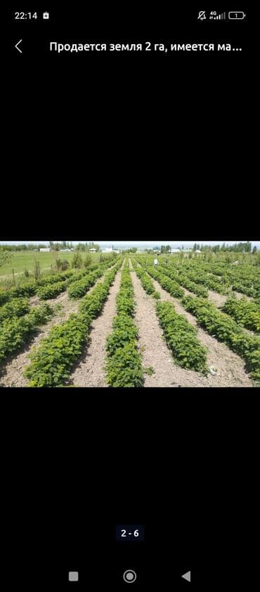 200 соток, Для сельского хозяйства at lalafo.kg 200 соток, Для сельского хозяйства