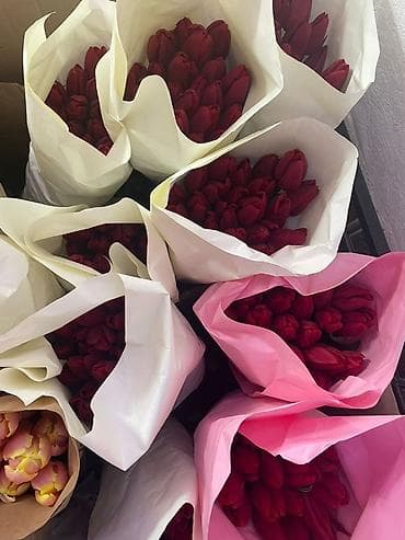 Бонбоньерки: Тюльпаны в крафт-упаковке - Срезанные тюльпаны с плотным бутоном at lalafo.kg — 7 Бонбоньерки: Тюльпаны в крафт-упаковке - Срезанные тюльпаны с плотным бутоном — 7