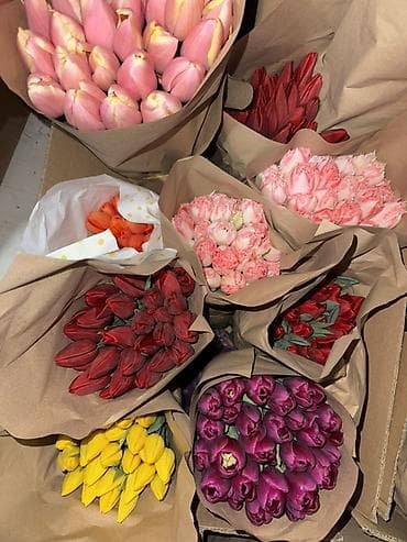 LED гирляндалар: Тюльпаны — срезанные, свежие, в ассортименте сортов и оттенков. Что lalafo.kg да — 2 LED гирляндалар: Тюльпаны — срезанные, свежие, в ассортименте сортов и оттенков. Что — 2