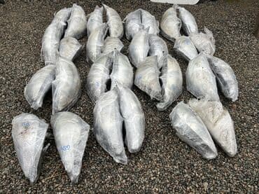 Комплект передних фар Honda 2004 г., Б/у, Оригинал, Япония at lalafo.kg Комплект передних фар Honda 2004 г., Б/у, Оригинал, Япония