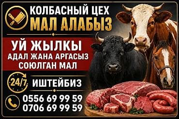 Колбасный цех «Мал алабыз» - Закупаем и принимаем на переработку at lalafo.kg Колбасный цех «Мал алабыз» - Закупаем и принимаем на переработку