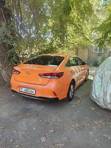 Hyundai Sonata: 2019 г., 2 л, Автомат, Газ, Седан at lalafo.kg Hyundai Sonata: 2019 г., 2 л, Автомат, Газ, Седан