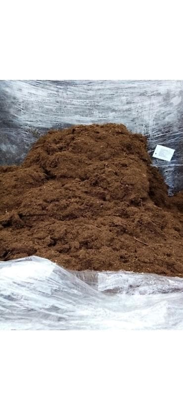 ТОРФ в больших тюках на паллетах. из БЕЛАРУСИ. ТОЛЬКО ОПТОМ. ООО " at lalafo.kg ТОРФ в больших тюках на паллетах. из БЕЛАРУСИ. ТОЛЬКО ОПТОМ. ООО "