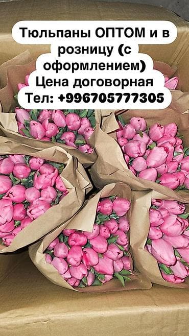 Тюльпаны голландские оптом и в розницу с оформлением цена договорная at lalafo.kg Тюльпаны голландские оптом и в розницу с оформлением цена договорная