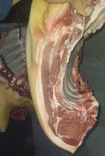 Свинина : Более 10 кг at lalafo.kg Свинина : Более 10 кг