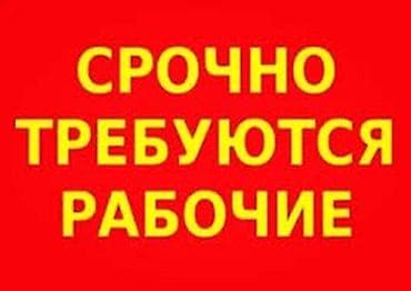Требуются рабочие на склад, район Пишпек. По всем вопросам обращайтесь at lalafo.kg Требуются рабочие на склад, район Пишпек. По всем вопросам обращайтесь