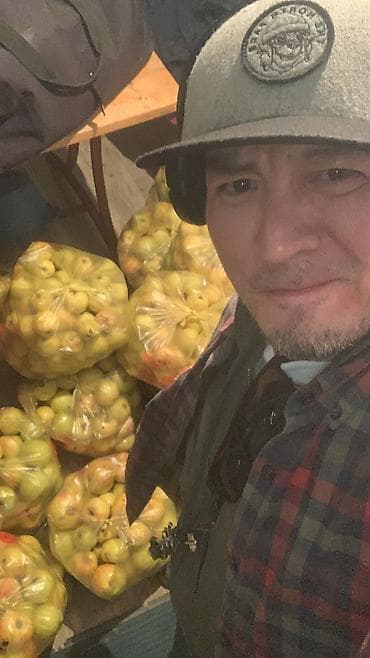 Яблоки Голден at lalafo.kg Яблоки Голден