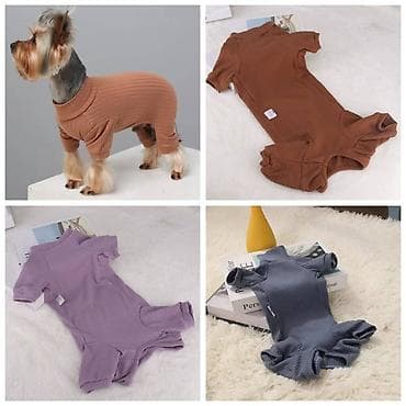 ПРОДАЮ ИГРУШКИ НЕВОЛЯШКИ ДЛЯ КОШЕК И СОБАК,А ТАК ЖЕ ДРУГИЕ ЗОО ТОВАРЫ at lalafo.kg — 2 ПРОДАЮ ИГРУШКИ НЕВОЛЯШКИ ДЛЯ КОШЕК И СОБАК,А ТАК ЖЕ ДРУГИЕ ЗОО ТОВАРЫ — 2