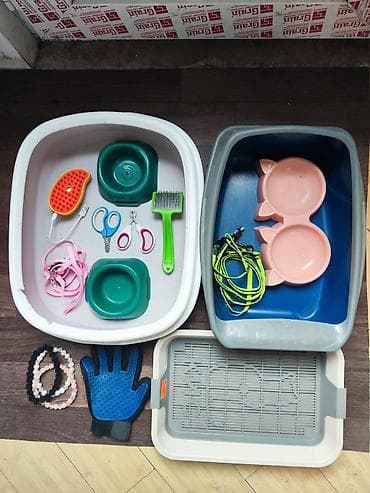 Более 5 лет, Мальчик, Проглистована at lalafo.kg Более 5 лет, Мальчик, Проглистована