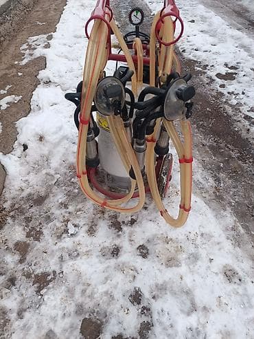 Доильный аппарат на тележке (электрический, вакуумный) at lalafo.kg Доильный аппарат на тележке (электрический, вакуумный)