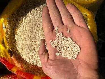 Ассаламу алейкум продаем РИС в ОПТОМ и на РОЗНИЦУ по хорошей цене! Рис at lalafo.kg Ассаламу алейкум продаем РИС в ОПТОМ и на РОЗНИЦУ по хорошей цене! Рис