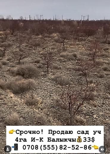 4000 соток, Для сельского хозяйства at lalafo.kg 4000 соток, Для сельского хозяйства