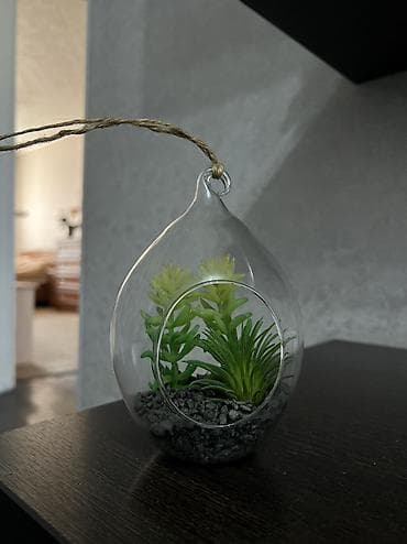 Флорариум .
Рамка для фото .
Шкатулки
Байтик батыра 69 at lalafo.kg Флорариум .
Рамка для фото .
Шкатулки
Байтик батыра 69