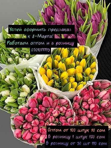 Тюльпаны к 8 Марта — опт и розница. - Свежесрезанные тюльпаны разных at lalafo.kg — 2 Тюльпаны к 8 Марта — опт и розница. - Свежесрезанные тюльпаны разных — 2