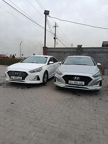 Сдаю Hyundai Sonata, Долгосрочно, Без водителя, | Залог, Водительские права at lalafo.kg Сдаю Hyundai Sonata, Долгосрочно, Без водителя, | Залог, Водительские права