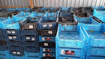 Пластиковый Ящик, Б/у at lalafo.kg Пластиковый Ящик, Б/у