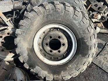 4 донголок сатылат 45 мин сом at lalafo.kg 4 донголок сатылат 45 мин сом