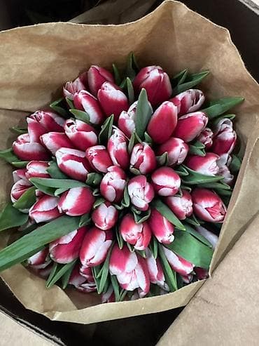 Бонбоньерки: Тюльпаны срезанные — готовые букеты в крафт-упаковке. - В at lalafo.kg — 3 Бонбоньерки: Тюльпаны срезанные — готовые букеты в крафт-упаковке. - В — 3