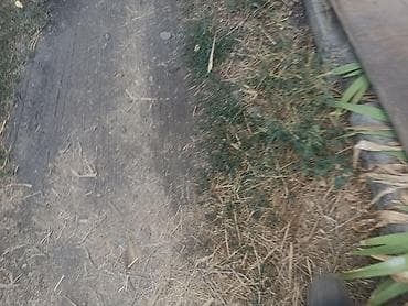 Продаётся дом село Полтавке в одном участке два дома 1ый дом полтора at lalafo.kg — 9 Продаётся дом село Полтавке в одном участке два дома 1ый дом полтора — 9