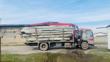 Терек каражыгач (тополь, карагач) алабыз өзүбүз кыйып кетебиз выезд at lalafo.kg Терек каражыгач (тополь, карагач) алабыз өзүбүз кыйып кетебиз выезд