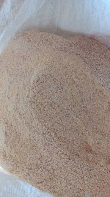 Продаю дробленную кукурузу в початках - 22 сом at lalafo.kg Продаю дробленную кукурузу в початках - 22 сом