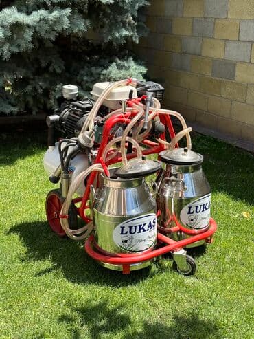 Доильный аппарат at lalafo.kg Доильный аппарат