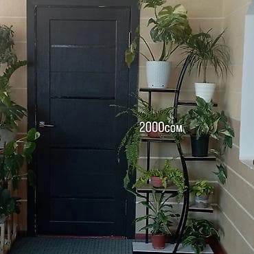 Полка, этажерка для цветов, Железо at lalafo.kg Полка, этажерка для цветов, Железо