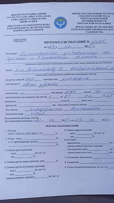 Proton: БЕДЕ УРУКТАР САТЫЛАТ БААСЫ 310 СОМДОН - 350 СОМГО ЧЕЙИН, СЕРТИФИКАТЫ lalafo.kg да — 5 Proton: БЕДЕ УРУКТАР САТЫЛАТ БААСЫ 310 СОМДОН - 350 СОМГО ЧЕЙИН, СЕРТИФИКАТЫ — 5