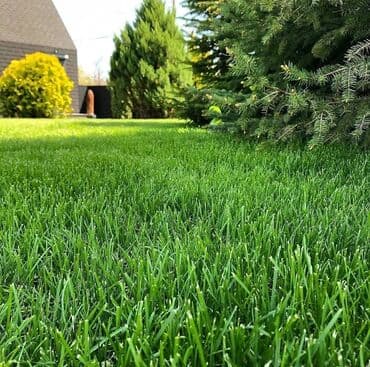 🌿Посев газона 🌿 Озеленение территории 🌿 Удобрение для газона 🌿Сеем at lalafo.kg 🌿Посев газона 🌿 Озеленение территории 🌿 Удобрение для газона 🌿Сеем