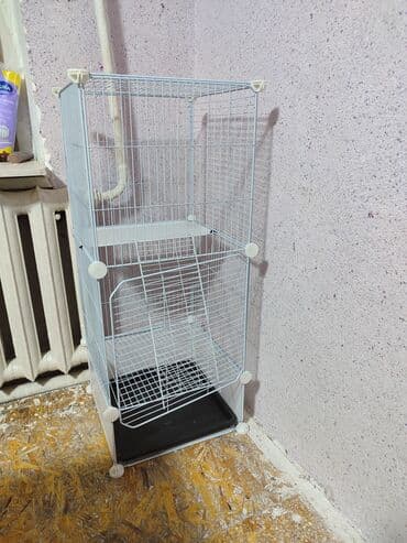 Чычкандар: Клетка для мелких животных/грызунов, двухуровневая.имееться запасной lalafo.kg да — 1 Чычкандар: Клетка для мелких животных/грызунов, двухуровневая.имееться запасной — 1
