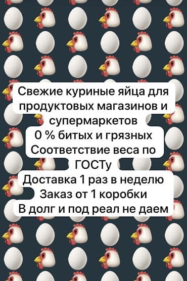 Свежие куриные яйца для магазинов и супермаркетов. Прямые поставки от at lalafo.kg Свежие куриные яйца для магазинов и супермаркетов. Прямые поставки от