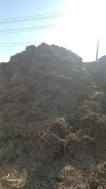 Солома навалом адрес ж/м Алтын-Казык улица 0 дом 29 бесплатно at lalafo.kg Солома навалом адрес ж/м Алтын-Казык улица 0 дом 29 бесплатно