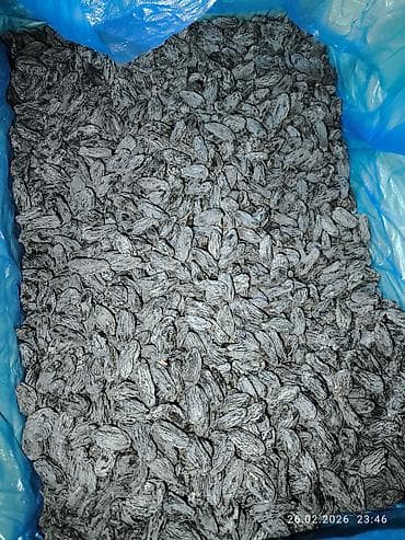 Изюм – натуральные сушёные виноградины без косточек. Ассортимент: - at lalafo.kg Изюм – натуральные сушёные виноградины без косточек. Ассортимент: -