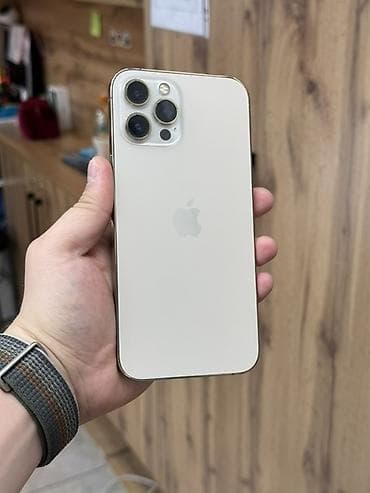 IPhone 12 Pro Max, 128 ГБ, Алтын, 100 % lalafo.kg да IPhone 12 Pro Max, 128 ГБ, Алтын, 100 %