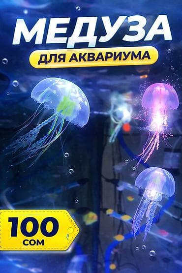 Декоративные медузы для аквариума - Безопасны для рыбок - Движутся от at lalafo.kg Декоративные медузы для аквариума - Безопасны для рыбок - Движутся от
