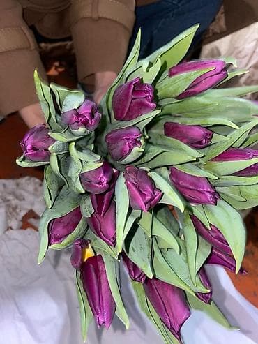 ТЮЛЬПАНЫ ОПТОМ от 100шт Голландские привозные тюльпаны с луковицей at lalafo.kg — 9 ТЮЛЬПАНЫ ОПТОМ от 100шт Голландские привозные тюльпаны с луковицей — 9