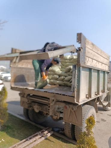 Вывоз мусора at lalafo.kg Вывоз мусора