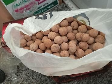 Грецкие орехи в скорлупе Примерно 4-5 кг. - Натуральные, цельные at lalafo.kg Грецкие орехи в скорлупе Примерно 4-5 кг. - Натуральные, цельные