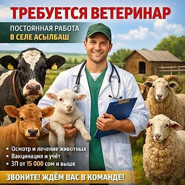 📢 Требуется ветеринар (штатный) В хозяйство требуется ответственный at lalafo.kg 📢 Требуется ветеринар (штатный) В хозяйство требуется ответственный
