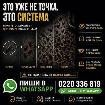 Профессиональная дезинсекция от тараканов и клопов - Полная at lalafo.kg Профессиональная дезинсекция от тараканов и клопов - Полная