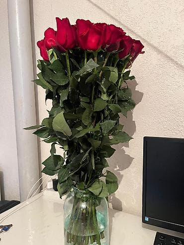 Розы Эквадорские 70 см.
29шт. доставка по городу бесплатно at lalafo.kg — 4 Розы Эквадорские 70 см.
29шт. доставка по городу бесплатно — 4