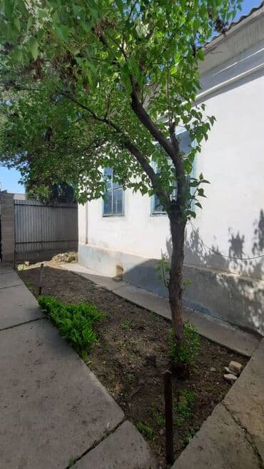 Дом, 65 м², 4 комнаты, Агентство недвижимости, Старый ремонт at lalafo.kg Дом, 65 м², 4 комнаты, Агентство недвижимости, Старый ремонт