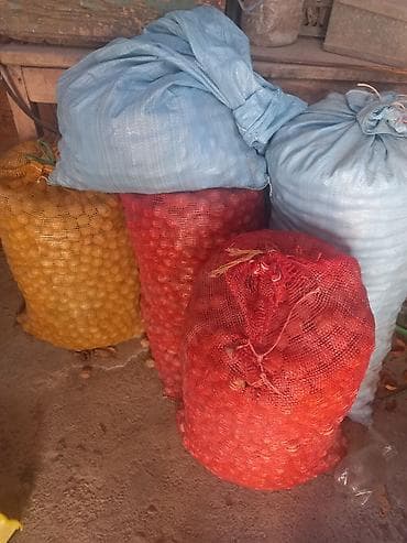 Жангак 150 кг, чалгыла жазгыла баасын суйлошобуз at lalafo.kg Жангак 150 кг, чалгыла жазгыла баасын суйлошобуз