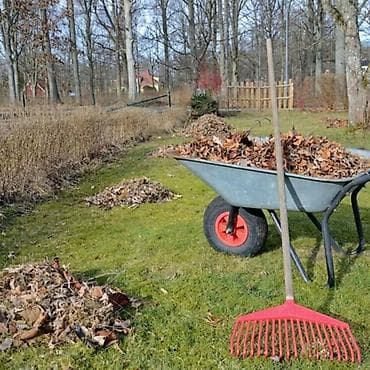 Уборка территории, Уборка двора и сада at lalafo.kg Уборка территории, Уборка двора и сада