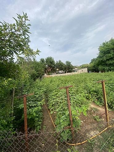 5 соток at lalafo.kg 5 соток