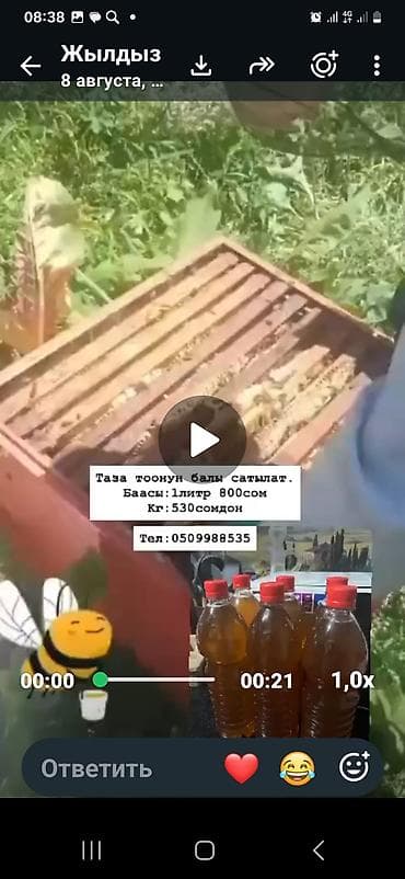 Горный мёд собственного сбора. - Натуральный пчелиный мёд с горных at lalafo.kg Горный мёд собственного сбора. - Натуральный пчелиный мёд с горных