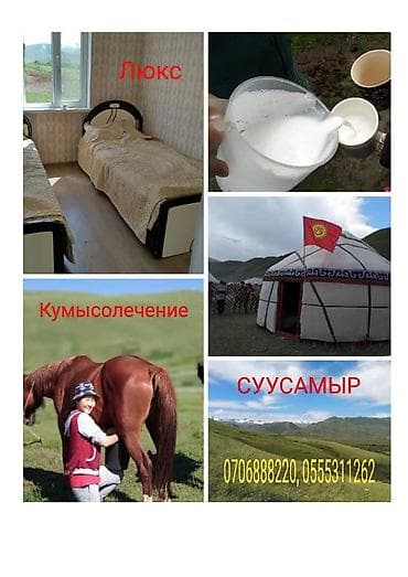 Кумысолечение в Суусамырской долине. Чистый воздух, натуральная еда at lalafo.kg Кумысолечение в Суусамырской долине. Чистый воздух, натуральная еда